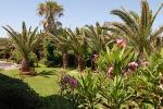 Garten-Westseite.jpg